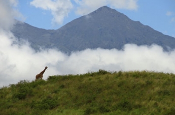 Arusha National Park Arusha National Park