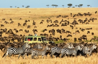 Serengeti National Park Serengeti National Park