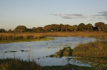 Katavi National Park Katavi National Park