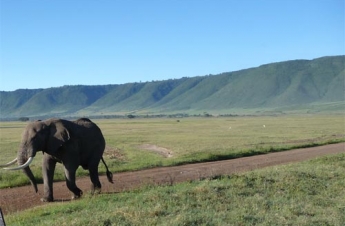 Ngorongoro Crater Ngorongoro Crater