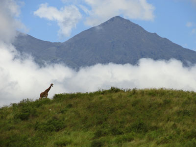 arusha arusha